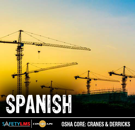 Cranes and Derricks (Spanish)