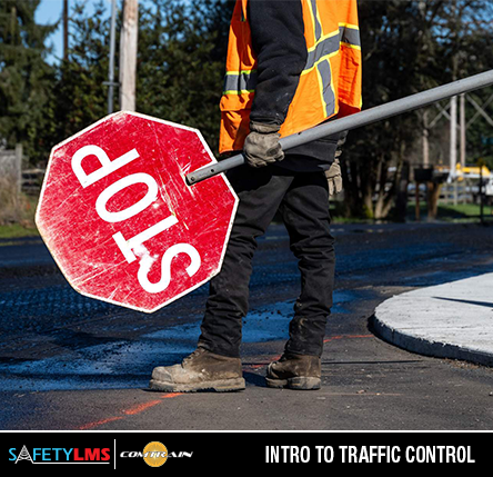Intro to Traffic Control