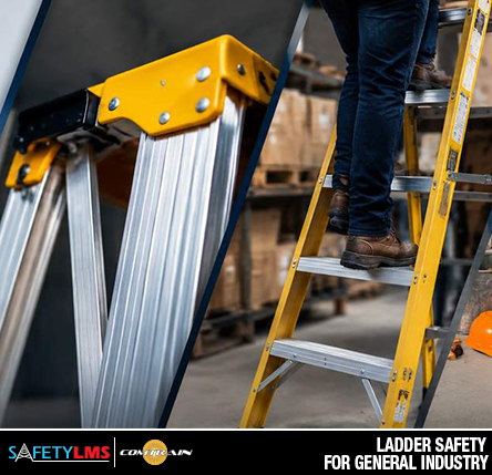 Ladder Safety for General Industry