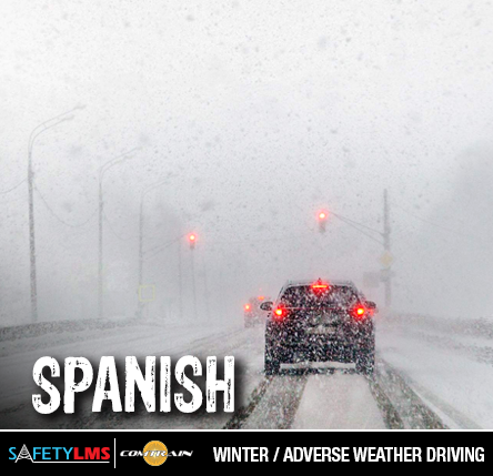 Winter/Adverse Weather Driving (Spanish)