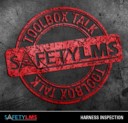 Tool Box Talk - Harness Inspection